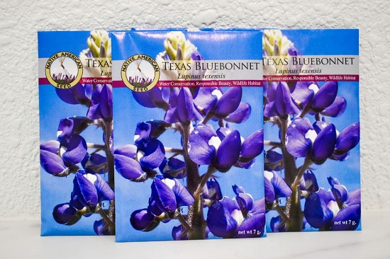 SEED, BLUEBONNET